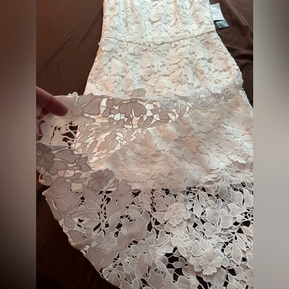 Virgin White Lace Appliqué Dress - Picture 7 of 16